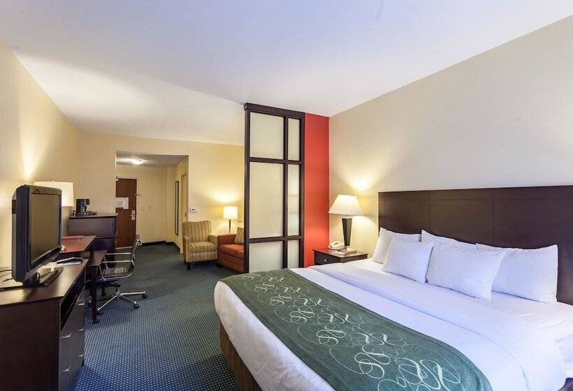 سوئیت برای معلولان, Comfort Suites East Lincoln   Mall Area