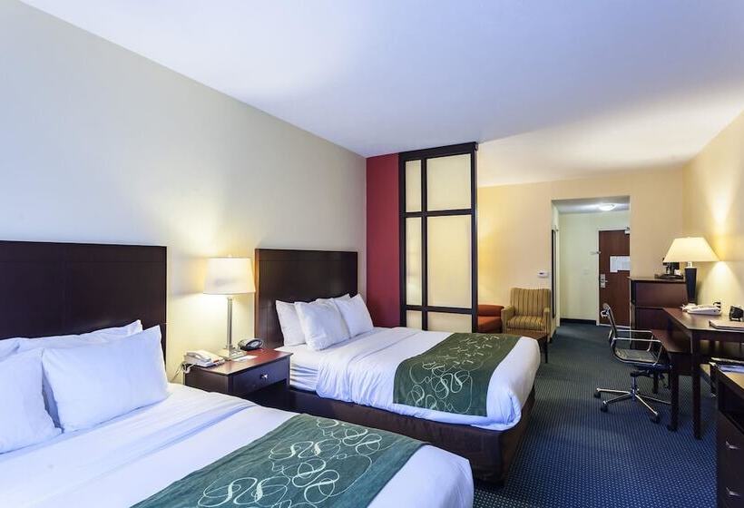 Suite Adapted for people with reduced mobility, Comfort Suites East