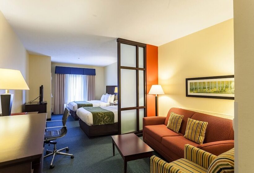 Suite Adapted for people with reduced mobility, Comfort Suites East