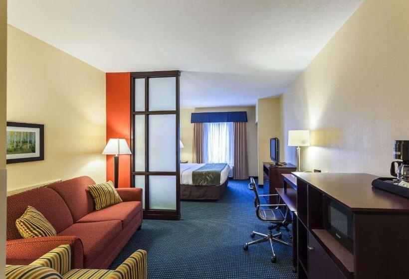 سوئیت با تخت بزرگ, Comfort Suites East Lincoln   Mall Area