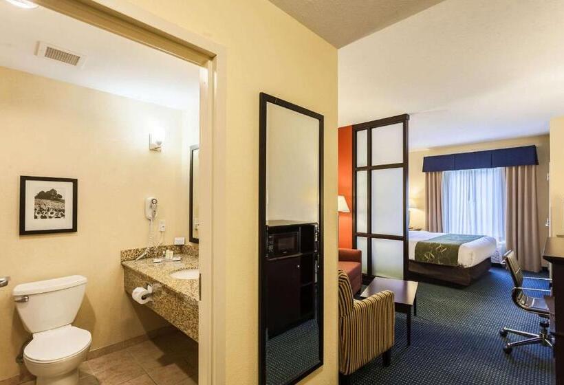 سوئیت با تخت بزرگ, Comfort Suites East Lincoln   Mall Area