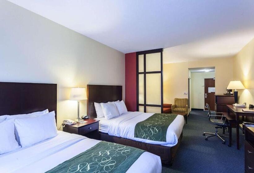 سوییت, Comfort Suites East Lincoln   Mall Area