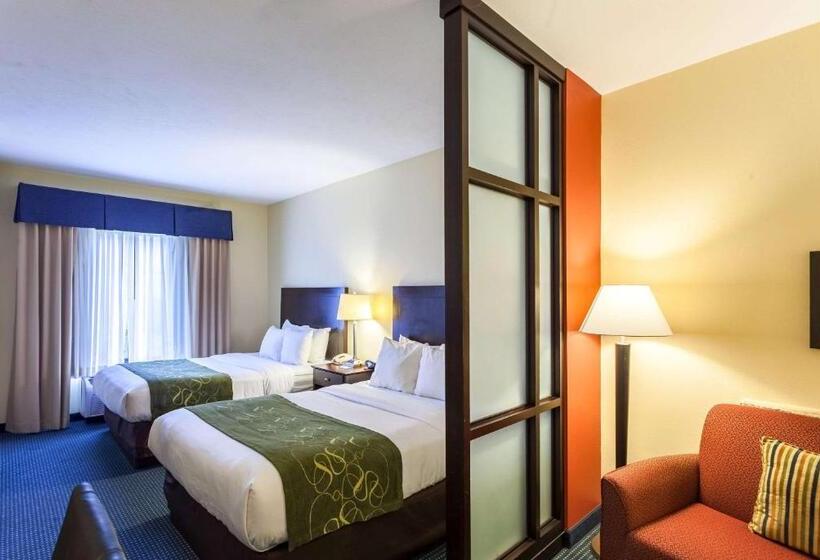 سوییت, Comfort Suites East Lincoln   Mall Area