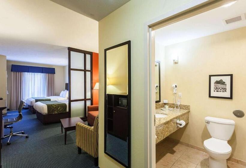 سوییت, Comfort Suites East Lincoln   Mall Area