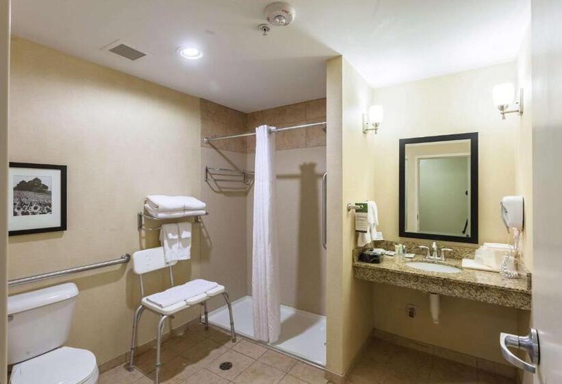 Suite Adapted for people with reduced mobility, Comfort Suites East