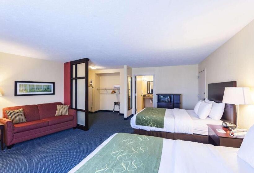 Suite Adapted for people with reduced mobility, Comfort Suites East