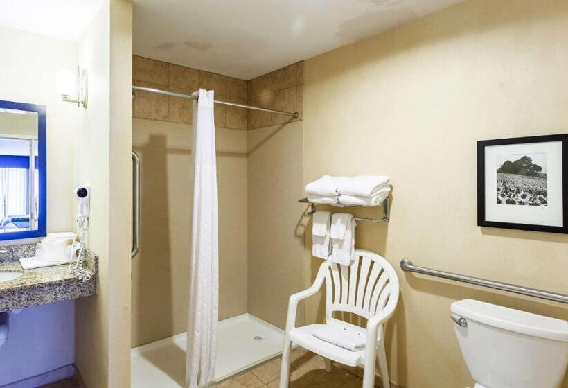 سوئیت برای معلولان, Comfort Suites East Lincoln   Mall Area