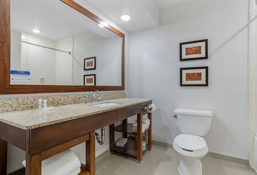 سوییت, Comfort Suites Houston Nw  Vintage Park