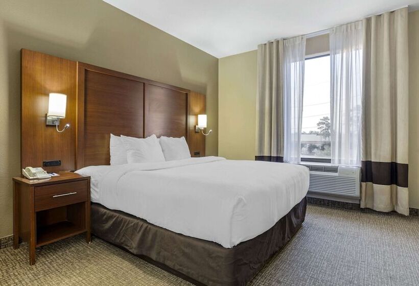 سوییت, Comfort Suites Houston Nw  Vintage Park