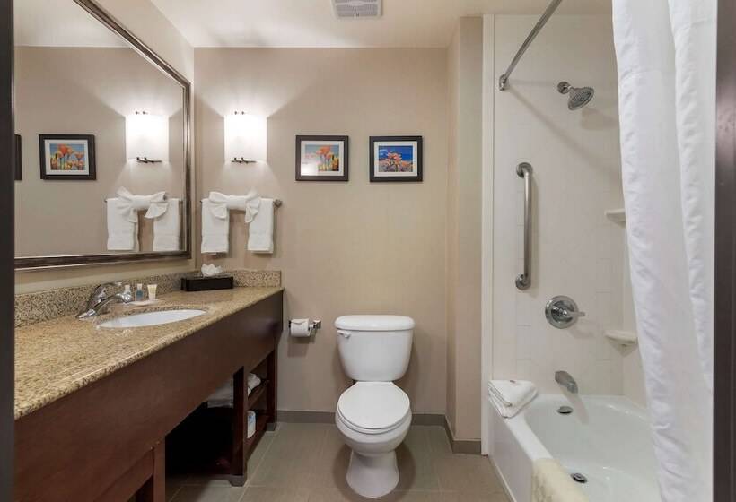 Suite, Comfort Suites Ontario Airport Convention Center