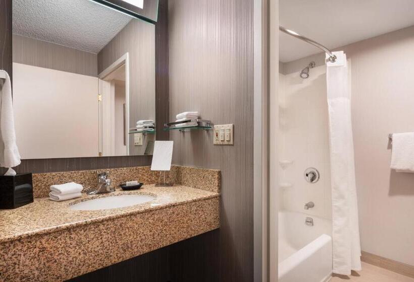 اتاق استاندارد با 2 تخت دوبل, Courtyard Novato Marin/sonoma