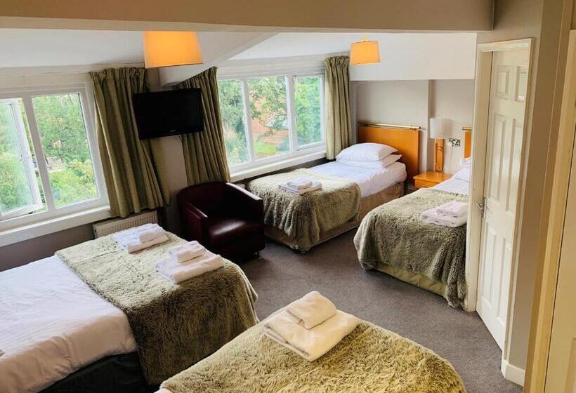 اتاق استاندارد چهار تخته, Hedley House Hotel & Apartments