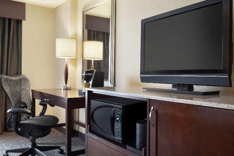 اتاق استاندارد با تخت بزرگ, Hilton Garden Inn Atlanta Downtown