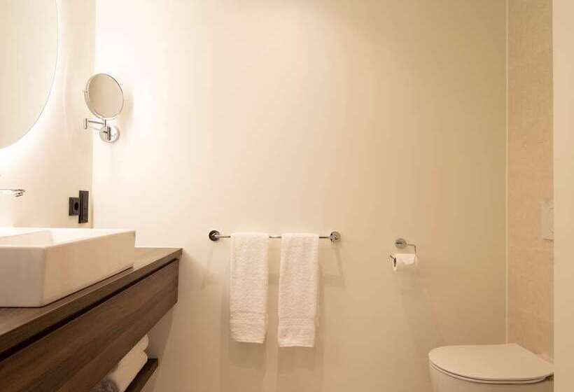 스탠다드 룸 킹사이즈 침대, Hilton The Hague