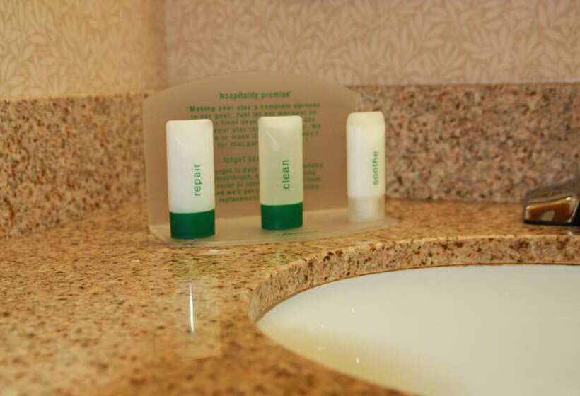 اتاق استاندارد, Holiday Inn Daytona Beach Lpga Boulevard, An Ihg