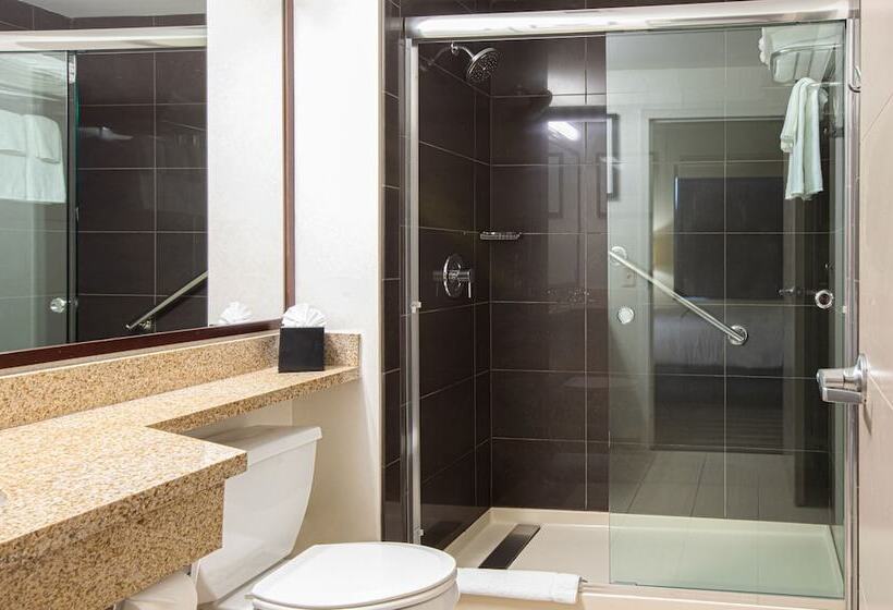سوییت, Hyatt House Chicago Schaumburg