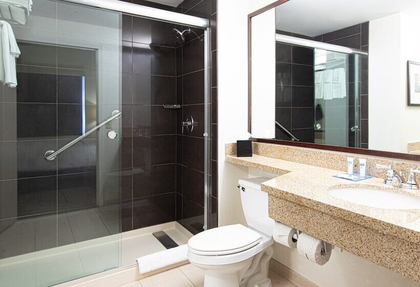 سوئیت 2 خوابه, Hyatt House Chicago Schaumburg