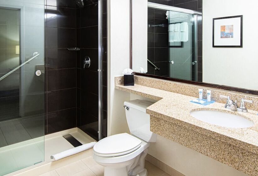 سوئیت 2 خوابه, Hyatt House Chicago Schaumburg