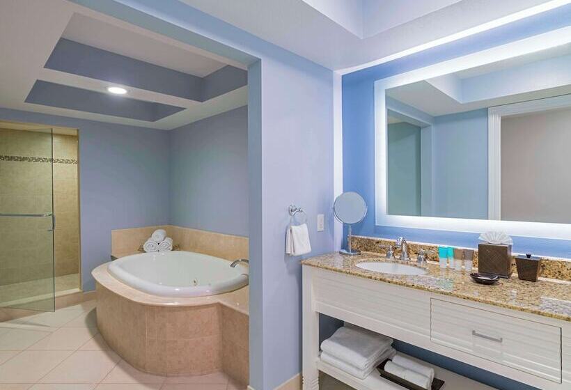 سوئیت دلوکس 2 خوابه, Hyatt Regency Clearwater Beach Resort & Spa
