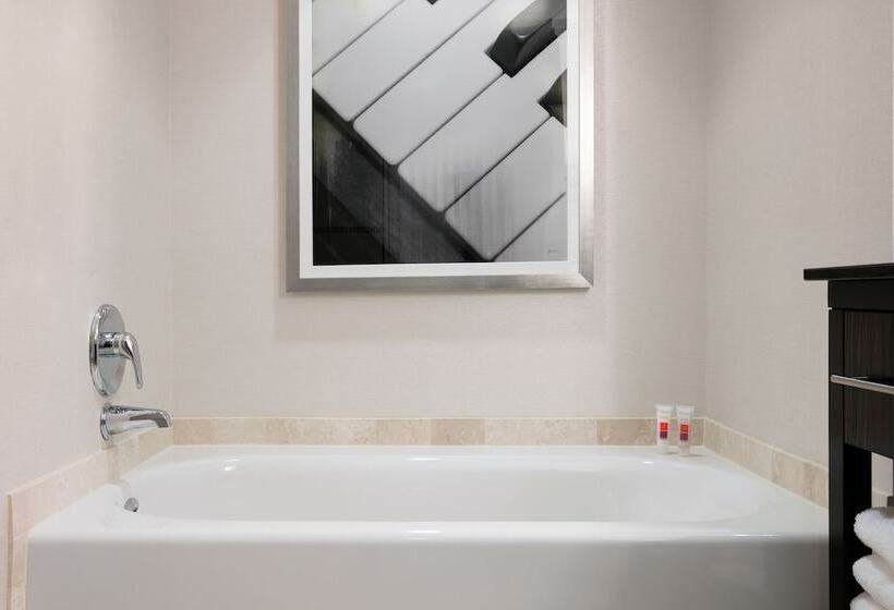 اتاق سوپریور, Loews Atlanta