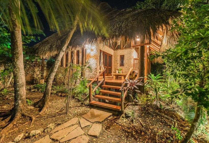 بانگلوی استاندارد, Natura Cabana Boutique Hotel & Spa By Mint