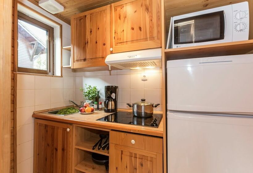 آپارتمان 1 خوابه, Résidence Odalys Les Chalets D Evian