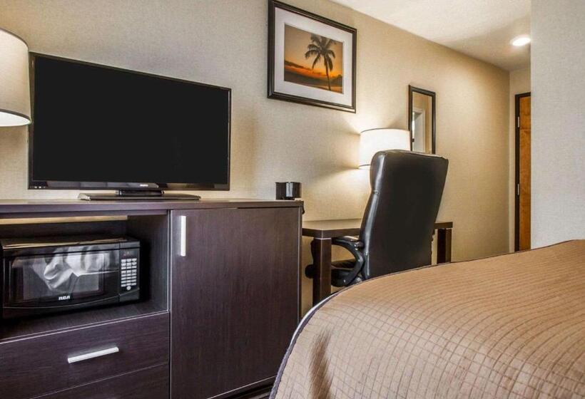 Standard Room, Quality Inn And Suites