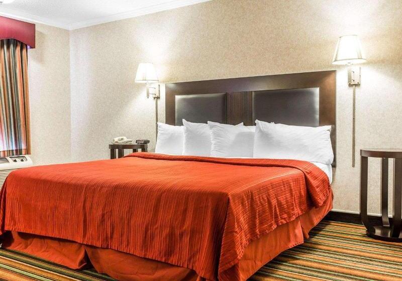 اتاق استاندارد با تخت بزرگ, Quality Inn