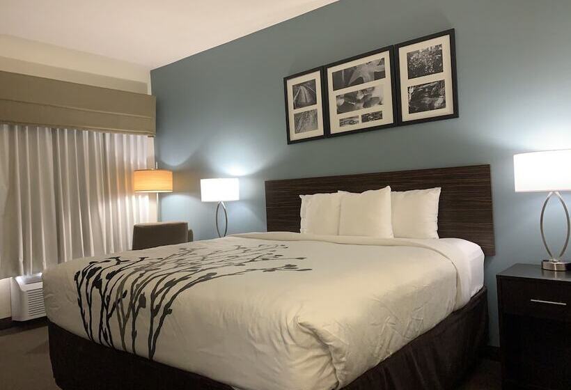 سوییت, Spark By Hilton Montgomery Eastchase