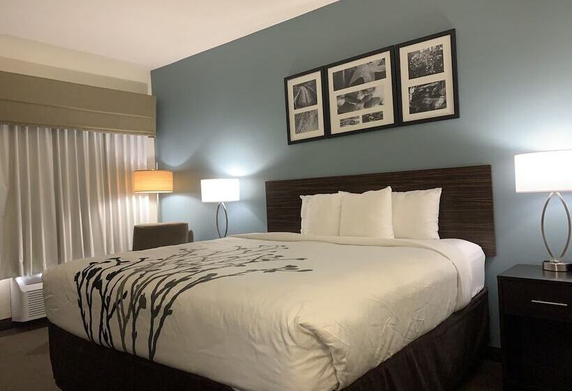 Suite, Sleep Inn And Suites East Chase Montgomery