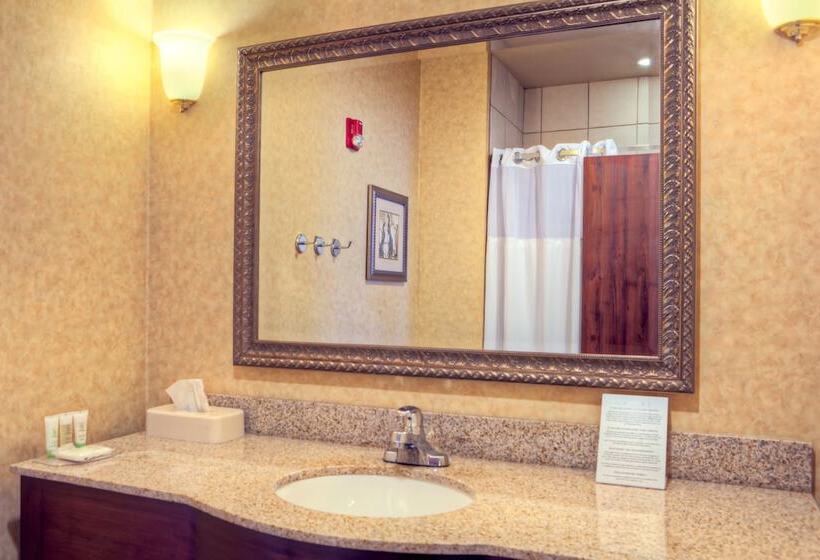 Standard Studio, Staybridge Suites Laredo