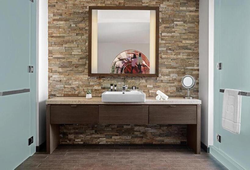 اتاق استاندارد با تخت بزرگ, W Scottsdale