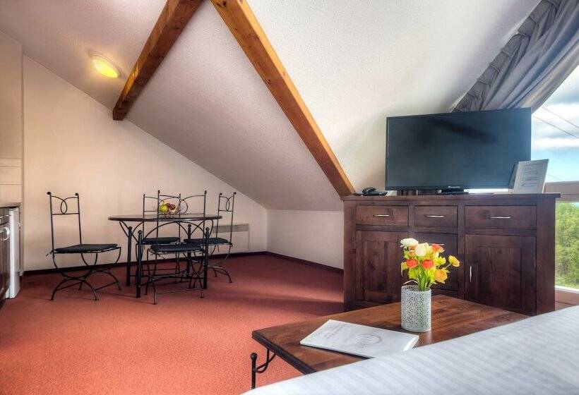 استودیوی استاندارد, Zenitude Evian Les Terrasses Du Lac, Ascend Hotel Collection