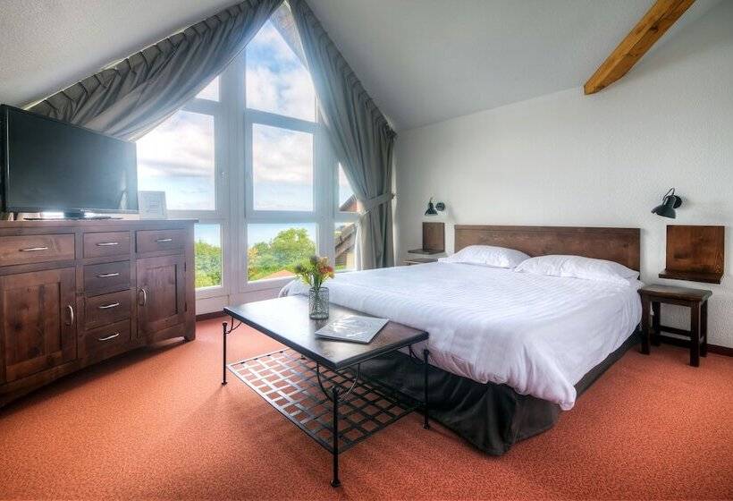 استودیوی استاندارد, Zenitude Evian Les Terrasses Du Lac, Ascend Hotel Collection