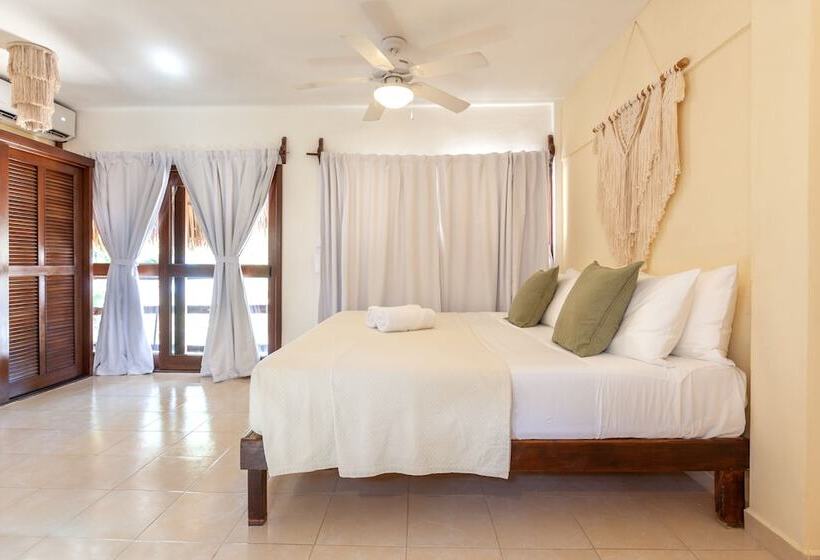 Chambre Economy, Beachfront Hotel La Palapa   Adults Only