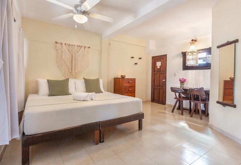 Chambre Economy, Beachfront Hotel La Palapa   Adults Only