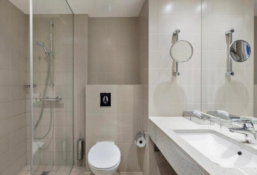 带大床的标准间, Courtyard By Marriott Basel
