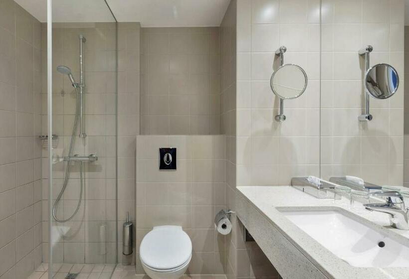 带大床的标准间, Courtyard By Marriott Basel