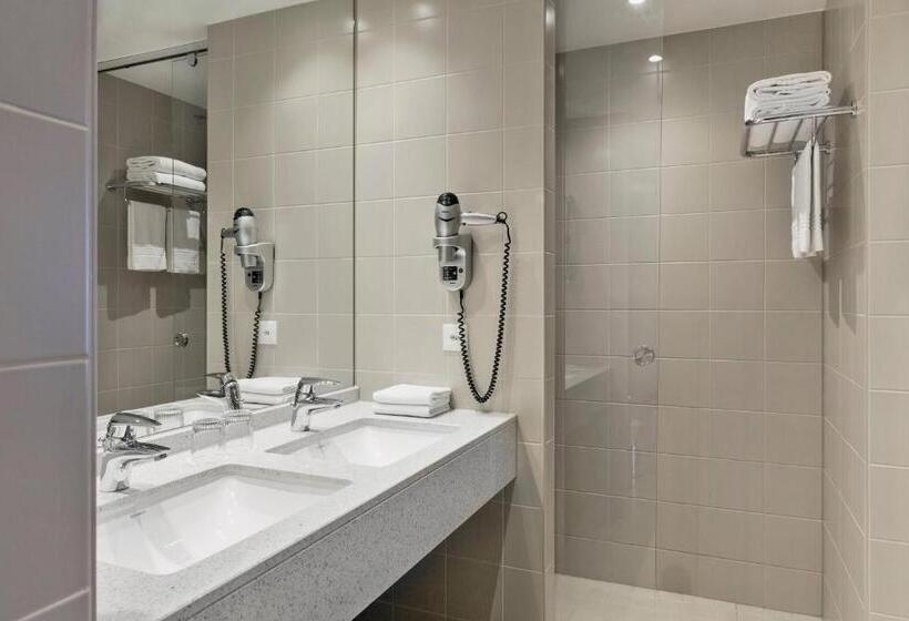 小型套房, Courtyard By Marriott Basel