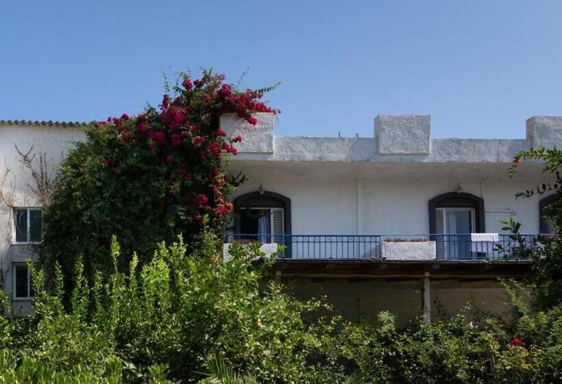 اتاق استاندارد سه نفره, Gorgona