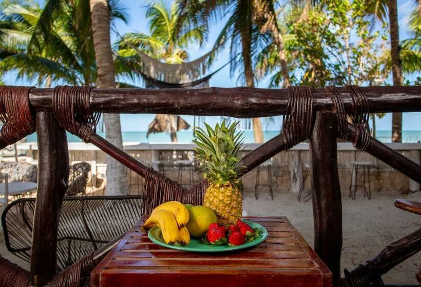 Habitación Estándar Cama King, Holbox Dream Beachfront