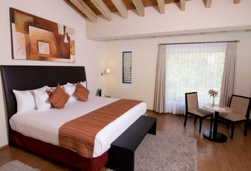 اتاق استاندارد, Mision Grand Valle De Bravo