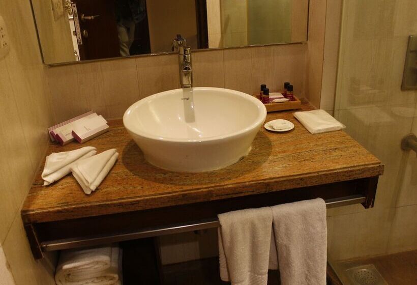 اتاق کلاب, Royal Orchid Central Jaipur, Bani Park