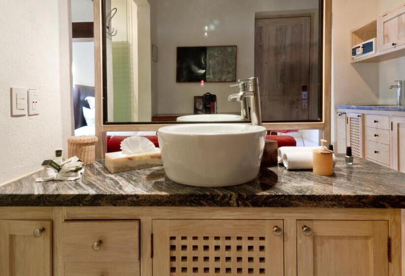 סוויטת ג'וניור, & Spa Dona Urraca San Miguel De Allende