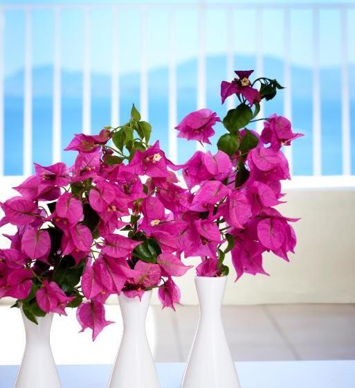 اتاق خانوادگی با چشم‌انداز دریا, Sunshine Corfu Hotel & Spa All Inclusive
