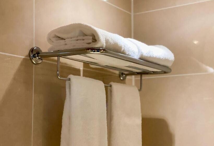 اتاق لوکس با چشم‌انداز شهر, Westcord Wtc Hotel Leeuwarden