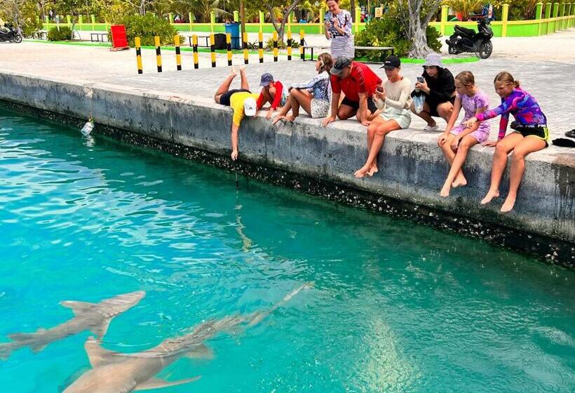 اتاق استاندارد با چشم‌انداز باغ, Manta Stay Thoddoo, Maldives