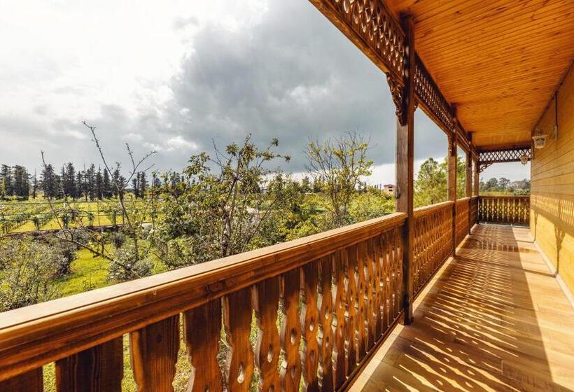 ویلای 1 خوابه, Chateau Kvirike