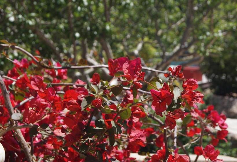 اتاق استاندارد, Les Jardins De Santa Giulia   Charmante Chambre D Hôte