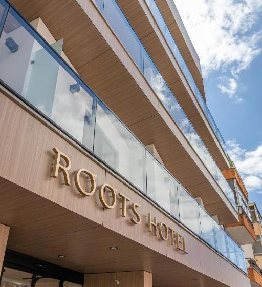 استودیو استاندارد با بالکن, Roots